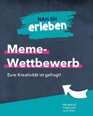 nahsh karussell 1080x1350 meme wettbewerb IG 01