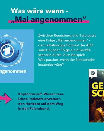 nahsh karussell 1080x1350 podcast 5