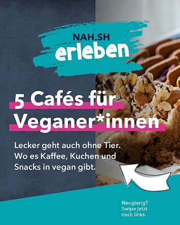 nahsh karussell 1080x1350 vegane cafes IG 01