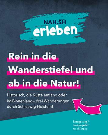 nahsh karussell 1080x1350 wandertouren IG 01