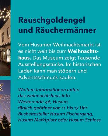 nahsh karussell 1080x1350 weihnachtsmaerkte IG 05