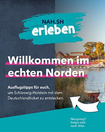 nahsh karussell 1080x1350 wilkommen in SH IG 01