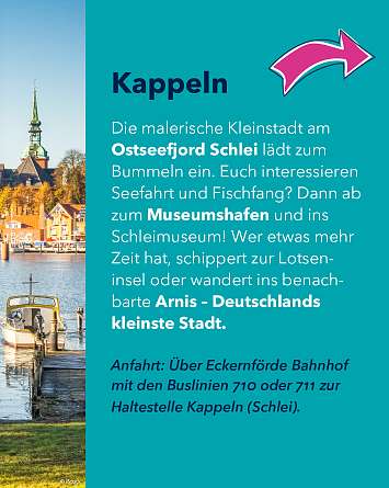 nahsh karussell 1080x1350 wilkommen in SH IG 02