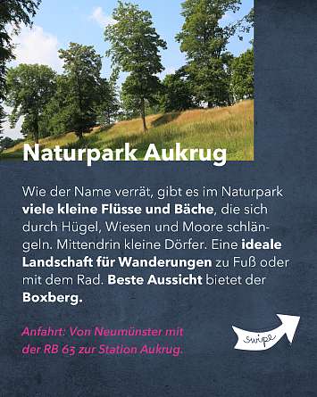 nahsh karussell 1080x1350 wilkommen in SH IG 03