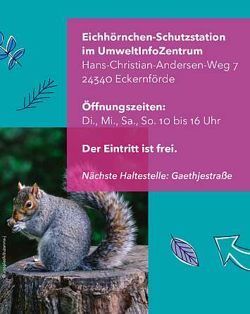 nahsh karussell 1350x1080 erleben eichhoernchen 06