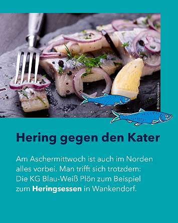 nahsh karussell 1350x1080 erleben karneval 06