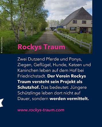 nahsh karussell 1350x1080 erleben lebenshoefe 03