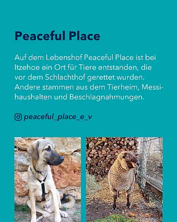 nahsh karussell 1350x1080 erleben lebenshoefe 06