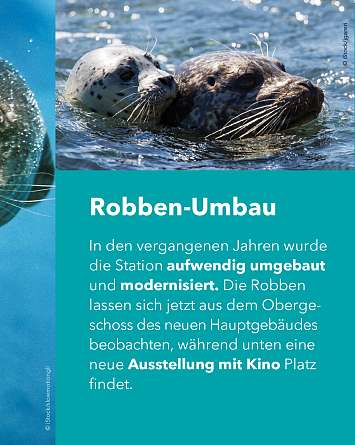 nahsh karussell 1350x1080 erleben seehundstation rz IG e