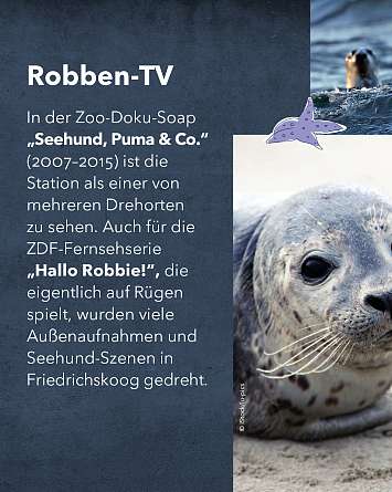 nahsh karussell 1350x1080 erleben seehundstation rz IG g v2