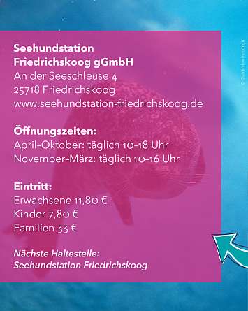 nahsh karussell 1350x1080 erleben seehundstation rz IG h