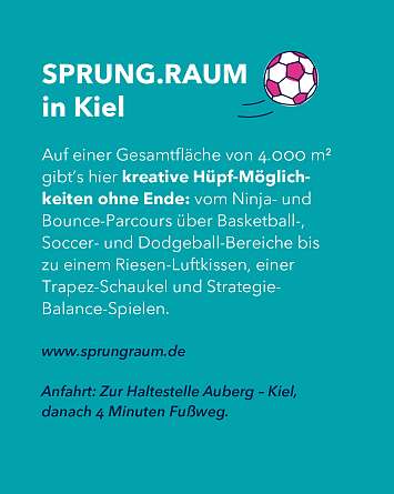 nahsh karussell 1350x1080 erleben trampolinhallen 04