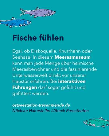 nahsh karussell 1350x1080 erleben travemuender woche rz IG g