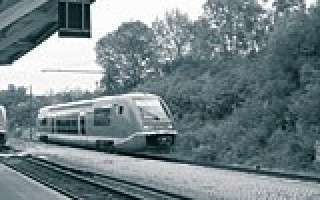 Zum Sömmerjubiläum nach Sömmerda (Kirsten Schneider) 1