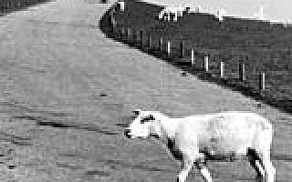 Hinaus in die Parallelwelt 2