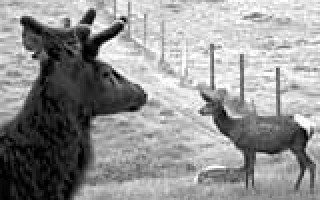 Wir sind ja schließlich nicht aus Zucker! 1