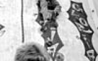 Und jetzt fallen lassen 2