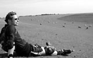 Die Leichtigkeit von Friedrichskoog 2