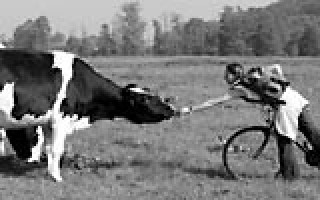 Eiszeit im Hochsommer 2