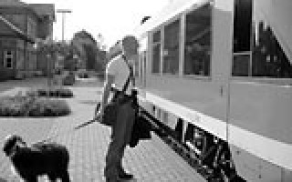 „Ist das nicht toll?!“ 1