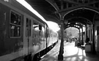 Krabbenbrötchen und Störfilet 1