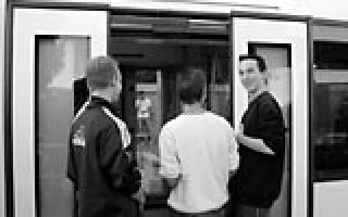 Fledermaus verzweifelt gesucht 1