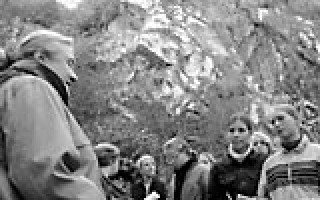 Fledermaus verzweifelt gesucht 2