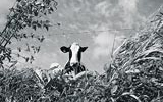 Heldinnen für einen Tag 2