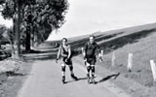 Die Leichtigkeit von Friedrichskoog 2