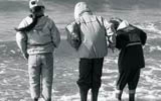 Seepocken sind nicht ansteckend 2