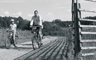 Drei Schwestern und ein Vogel Strauß 2