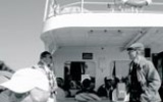 Der Fischbrötchenreport 1