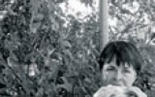 Der Fischbrötchenreport 2