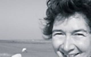 Hinterm Deich von Kirche zu Kirche 1