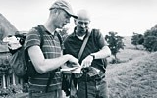 Der diskrete Charme der Provinz 1