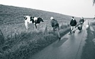 Der diskrete Charme der Provinz 2