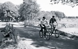 Hart an der Grenze 2