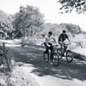 Hart an der Grenze 2