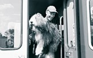 Der diskrete Charme der Provinz 3