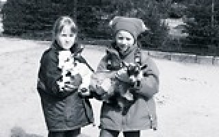 Looping-Eulen, Tuberkel-Hokkos und die große Ziegen-Rempelei 3