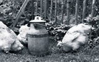 Kurzausflug ins Paradies 1