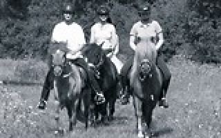 Die glorreichen Drei 3