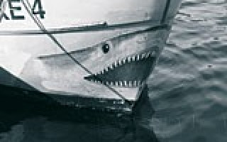 „Fische, Fische, Fische!!!“ 1