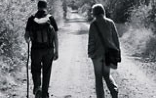 Dünen, Moor und Wald 1