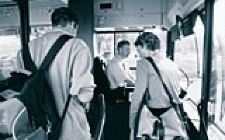 Drei in einem Boot 3