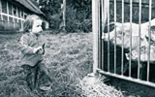 Hamburgs Gemüsegarten 1