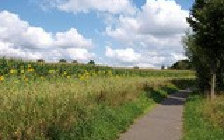 Sächsische Grenzerfahrung 3