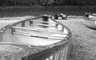 Den Schwänen so nah … 3