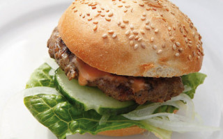 Die Wette, das Wattenmeer und der weltbeste Burger 2