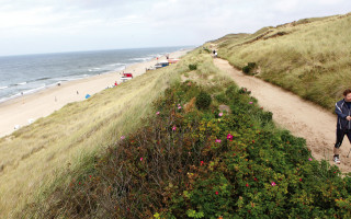 Die Wette, das Wattenmeer und der weltbeste Burger 3